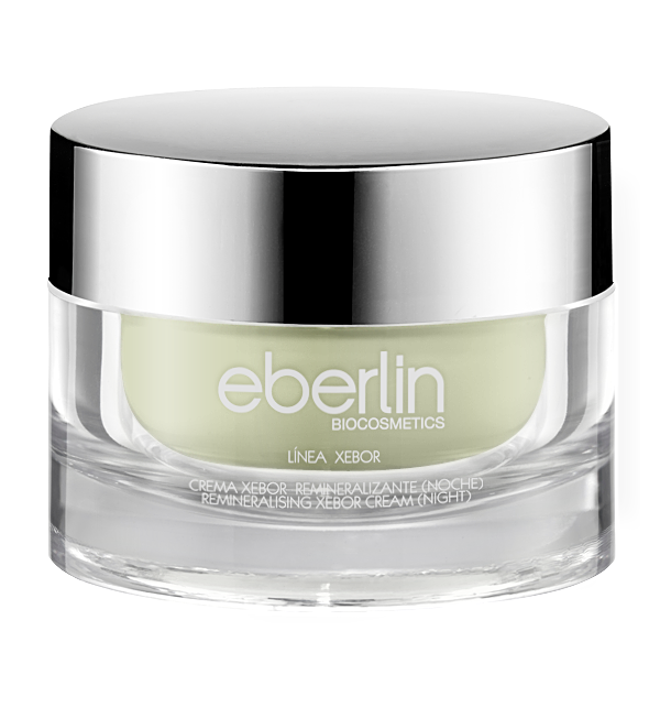 Xebor – Sebum Control Night Cream